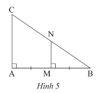 1. NHẬN BIẾT (7 câu)