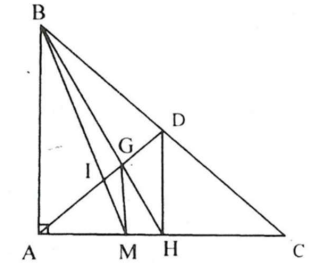 1. NHẬN BIẾT (7 câu)