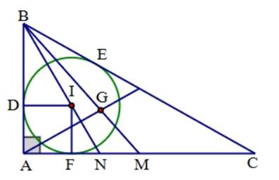 1. NHẬN BIẾT (5 CÂU)