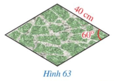 1. NHẬN BIẾT (5 câu)