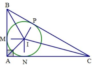 1. NHẬN BIẾT (5 CÂU)