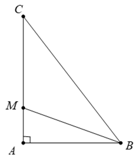1. NHẬN BIẾT (5 câu)