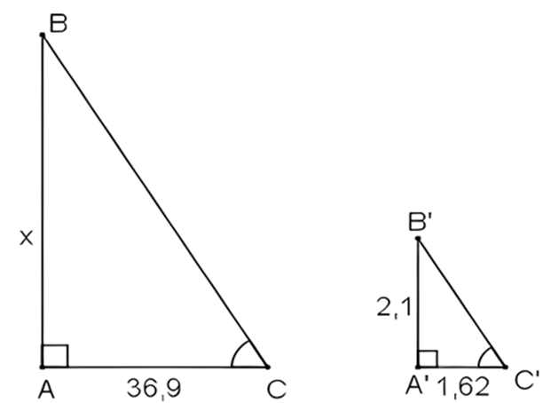 1. NHẬN BIẾT (5 câu)