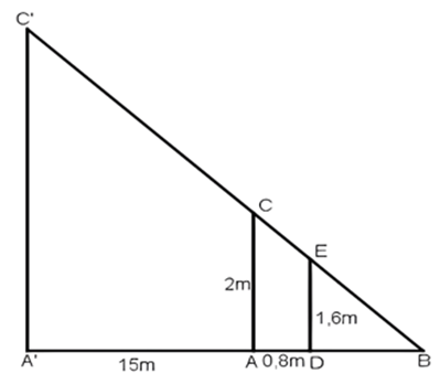 1. NHẬN BIẾT (5 câu)