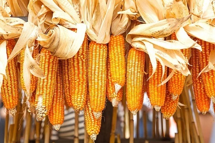 I. YÊU CẦU CẦN ĐẠT