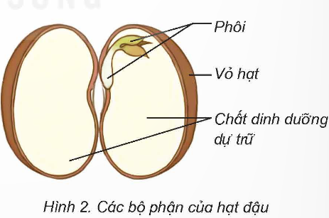 I. YÊU CẦU CẦN ĐẠT