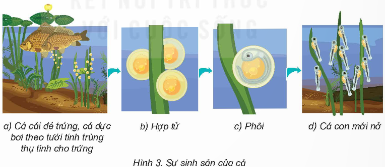 I. YÊU CẦU CẦN ĐẠT