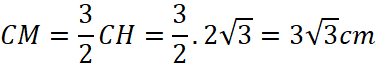1. NHẬN BIẾT (5 câu)