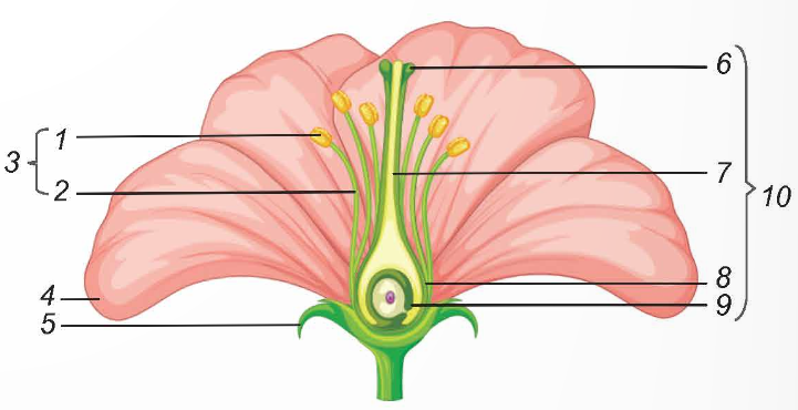 I. YÊU CẦU CẦN ĐẠT