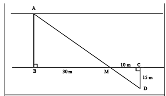 1. NHẬN BIẾT (5 câu)