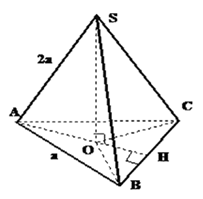 1. NHẬN BIẾT (5 câu)