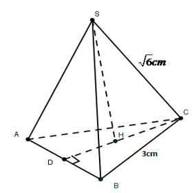1. NHẬN BIẾT (5 câu)