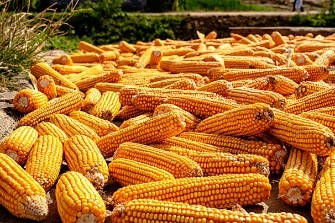 I. YÊU CẦU CẦN ĐẠT