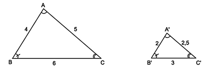 1. NHẬN BIẾT (5 câu)