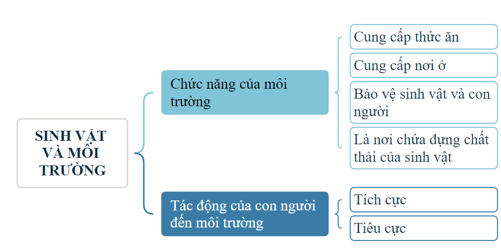 I. YÊU CẦU CẦN ĐẠT