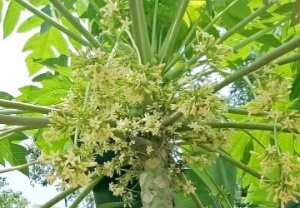I. YÊU CẦU CẦN ĐẠT