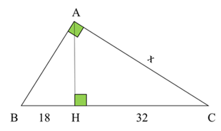 1. NHẬN BIẾT (5 câu)