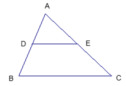 1. NHẬN BIẾT (5 câu)