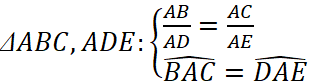 1. NHẬN BIẾT (5 câu)