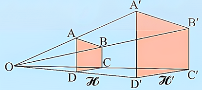 1. NHẬN BIẾT (5 câu)