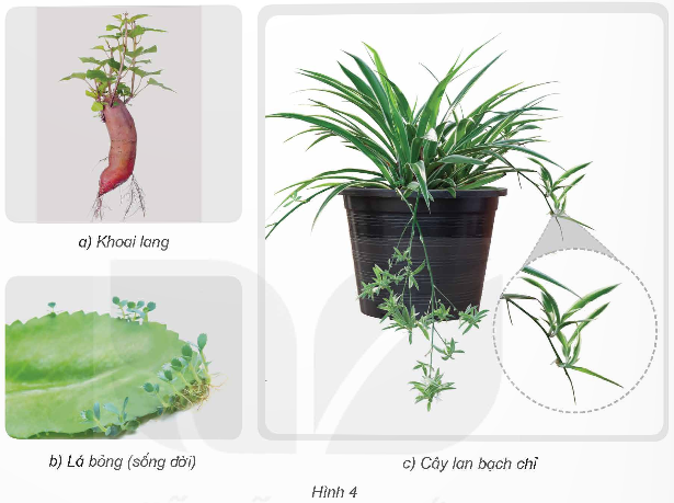 I. YÊU CẦU CẦN ĐẠT