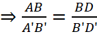 1. NHẬN BIẾT (5 câu)