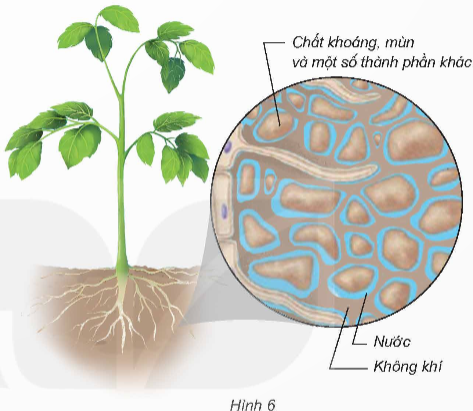 I. YÊU CẦU CẦN ĐẠT