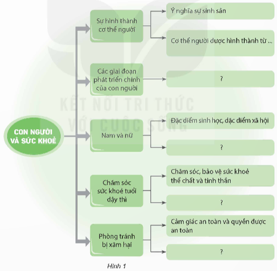 I. YÊU CẦU CẦN ĐẠT