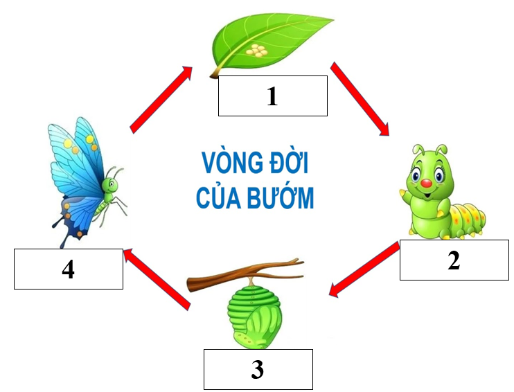 I. YÊU CẦU CẦN ĐẠT