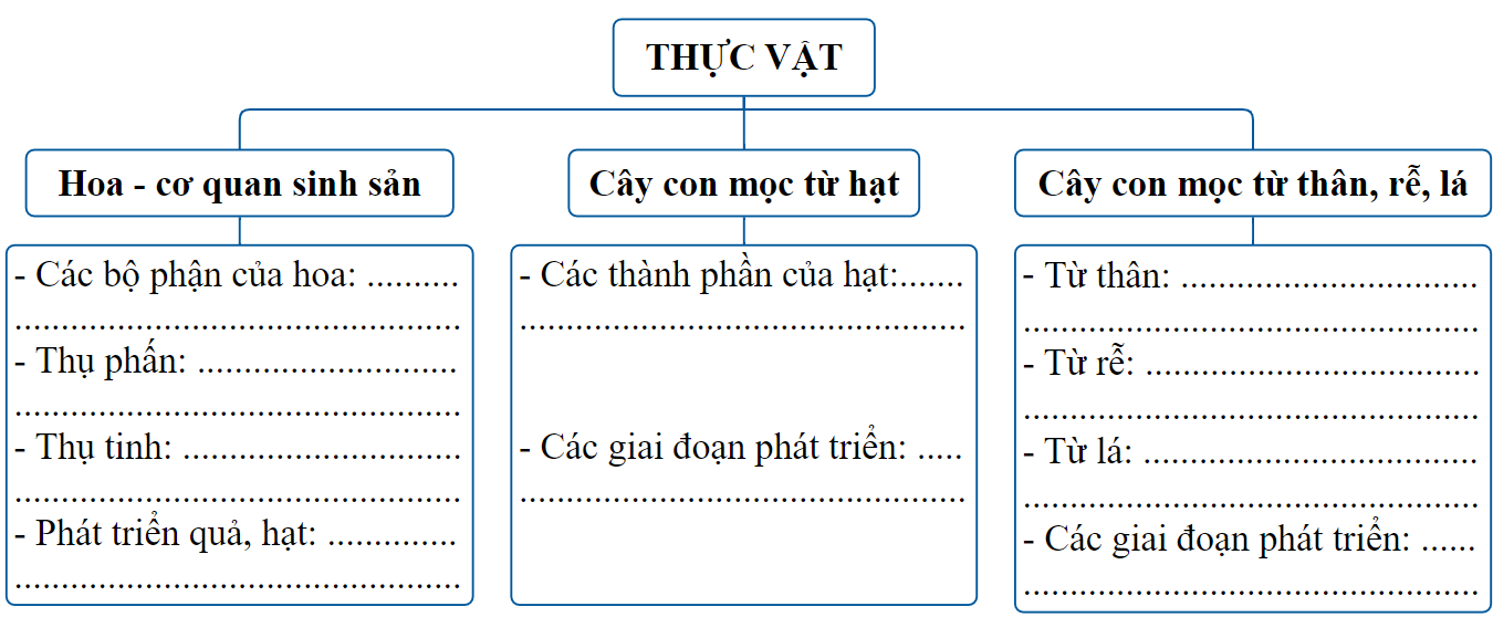 I. YÊU CẦU CẦN ĐẠT