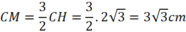 1. NHẬN BIẾT (5 câu)