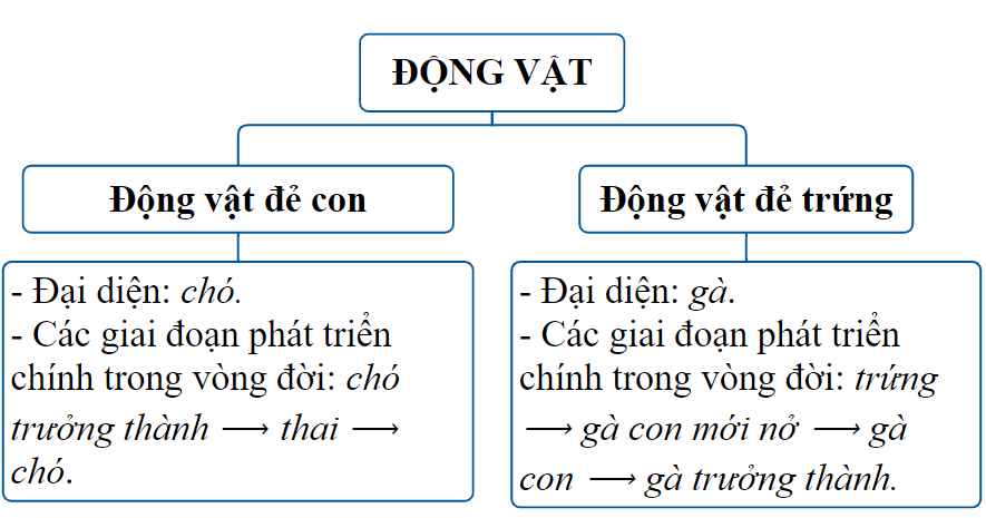 I. YÊU CẦU CẦN ĐẠT