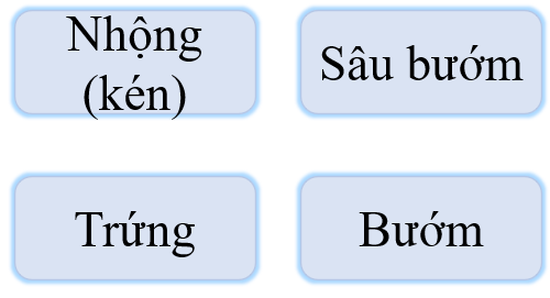 I. YÊU CẦU CẦN ĐẠT