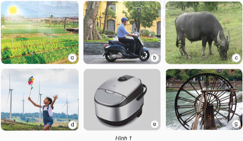 I. YÊU CẦU CẦN ĐẠT