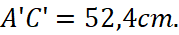 1. NHẬN BIẾT (5 câu)