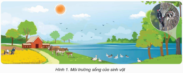 I. YÊU CẦU CẦN ĐẠT