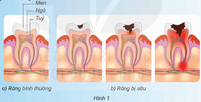 I. YÊU CẦU CẦN ĐẠT