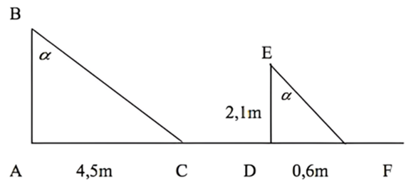 1. NHẬN BIẾT (5 câu)
