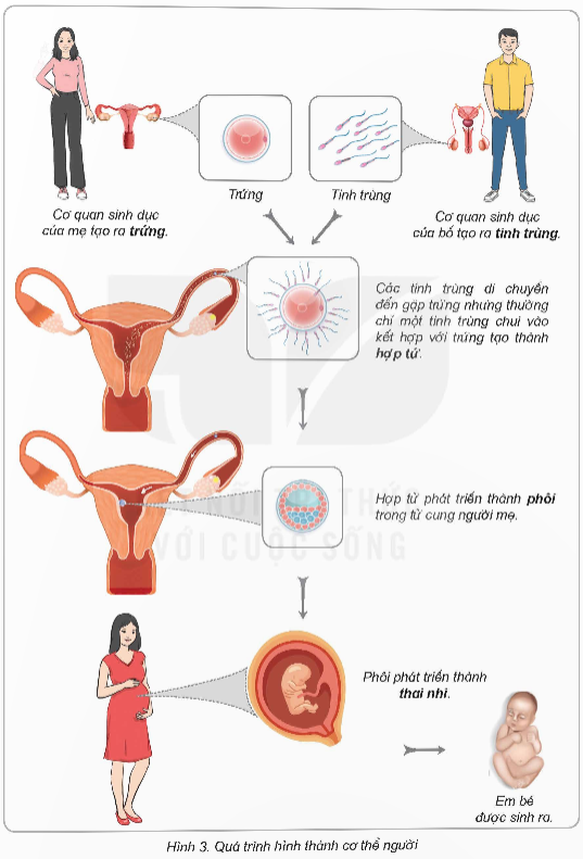 I. YÊU CẦU CẦN ĐẠT