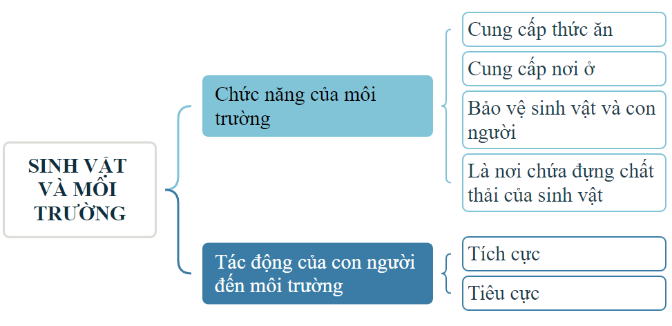I. YÊU CẦU CẦN ĐẠT