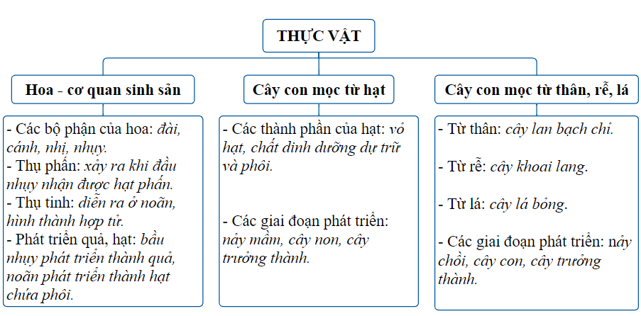 I. YÊU CẦU CẦN ĐẠT
