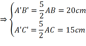 1. NHẬN BIẾT (5 câu)