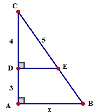 1. NHẬN BIẾT (5 câu)