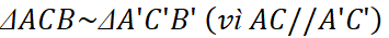1. NHẬN BIẾT (5 câu)