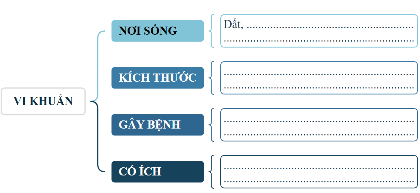 I. YÊU CẦU CẦN ĐẠT