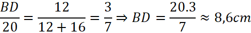 1. NHẬN BIẾT (5 câu)