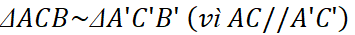1. NHẬN BIẾT (5 câu)