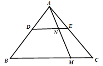 1. NHẬN BIẾT (5 câu)