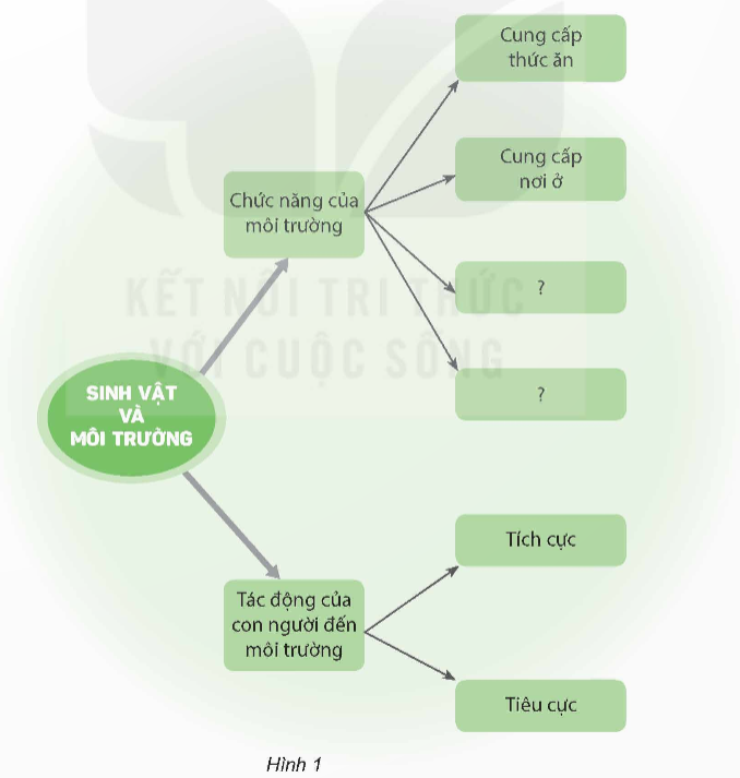 I. YÊU CẦU CẦN ĐẠT