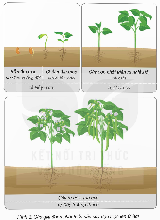 I. YÊU CẦU CẦN ĐẠT